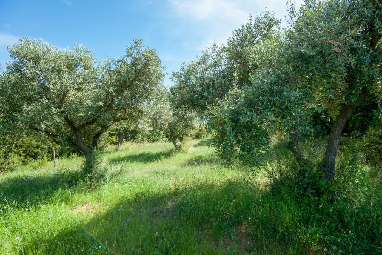 Avaton Farm Villa Ouranoupoli Exterior photo